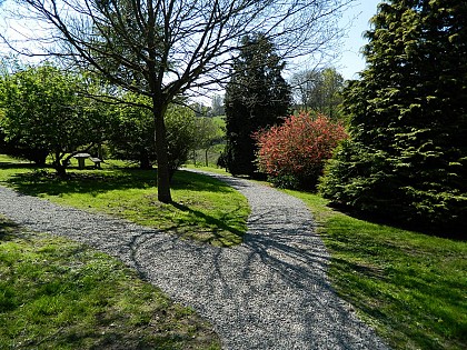 Arboretum de la Royauté