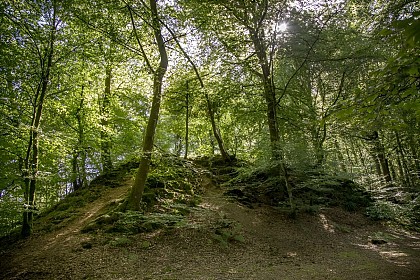 Motte Castrale de St-Sever-Calvados