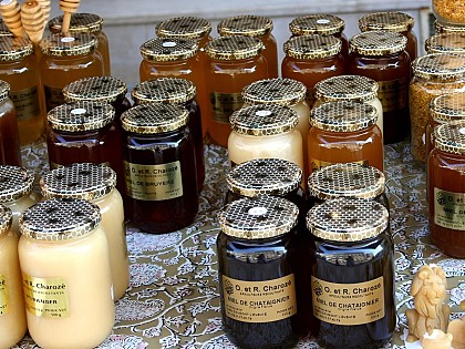 Le Monde Merveilleux des Abeilles