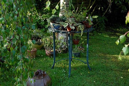 Jardin la Fieffe aux Landelles