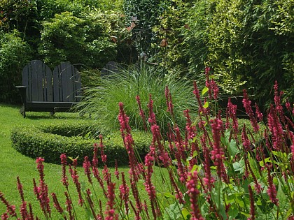 Jardin du Chat Lunatique