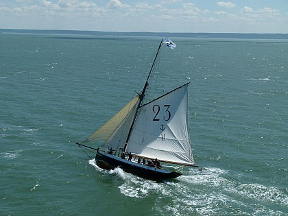 Marie-Fernand - Association Hirondelle de la Manche