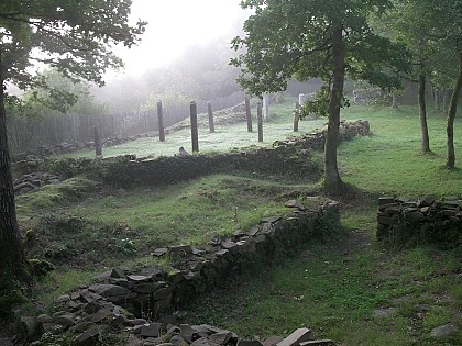 La Motte Castrale d'Olivet