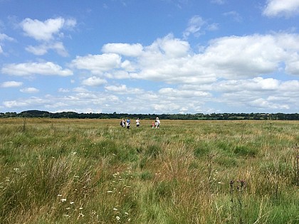Réserve naturelle de la Sangsurière et de l'Adriennerie