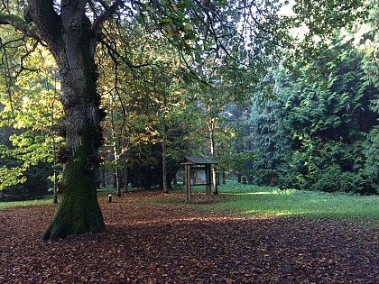 La Forêt Domaniale de Saint-Sauveur-le-Vicomte