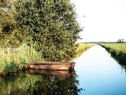 Marais du Cotentin et du Bessin
