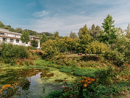 L'Archipel des Eaux mêlées