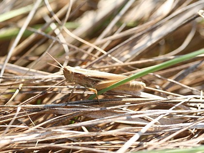 La Basse Vallée du Dun