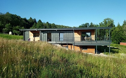 Apple and mirabelle plum apartment