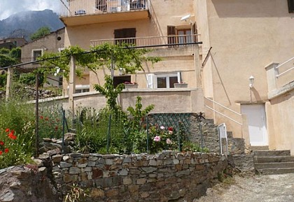 FRANCESCHETTI DANIEL