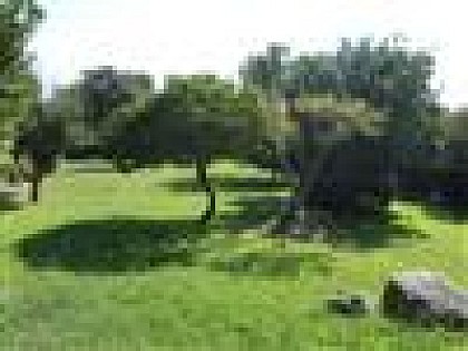 RESIDENCE LES HAUTS DE SANTA GIULIA - APPARTEMENTS 6 PERSONNES