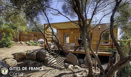 PASCIALE DELIA LUCIA