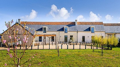 Gîte des Fougères