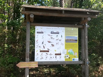 Sentier de découverte du lac de Rillé
