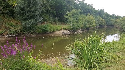 Circuit nature des bords du Layon