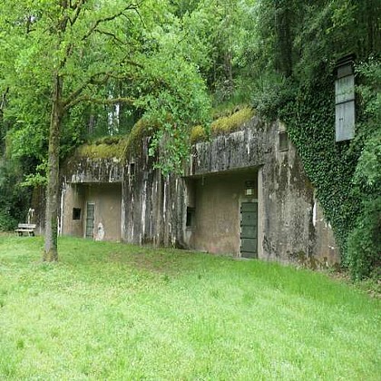 Balade entre Eberbach et Sauer