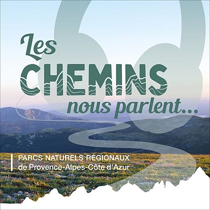 La Sainte-Baume, forêt sacrée