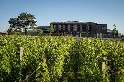 Château Couhins
