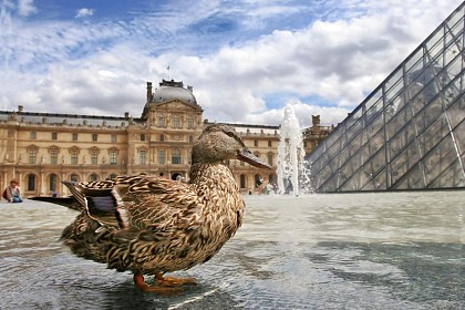 Guided Tour of the Louvre Museum + guided visit at Eiffel Tower – Skip the line