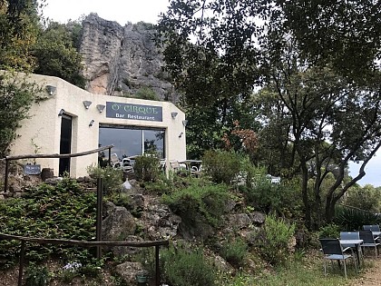 Ô CIRQUE