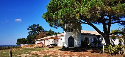 Le Castèl de Lamothe