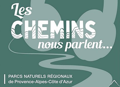 Les patous de la bergère