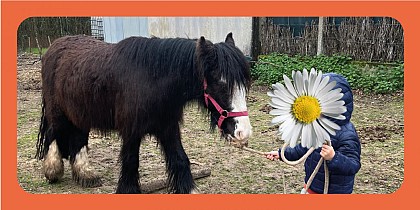 ATELIERS PEDAGOGIQUES - PONEYS