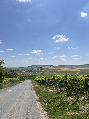 Chemin de la source à Epernay