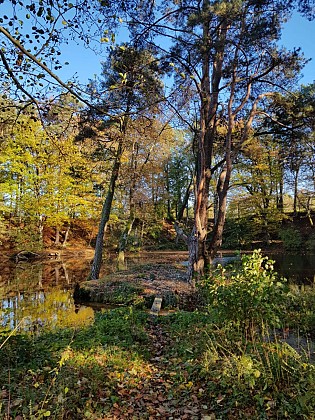 Étang de la Ballastière