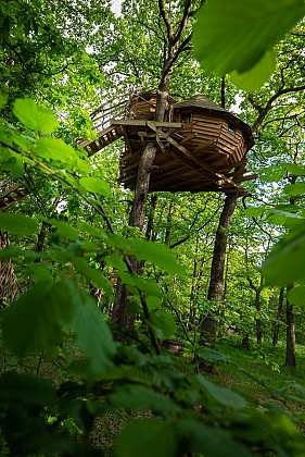 Vit tel ta nature