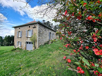 Chez Paul