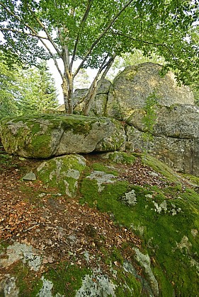 Sites préhistoriques