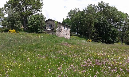 Le Petit Moulin