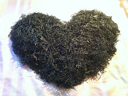 Azur Naturel - Spiruline Bio