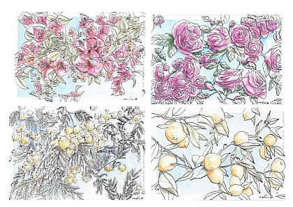 Marlene DESIGN & Youpi Illustration