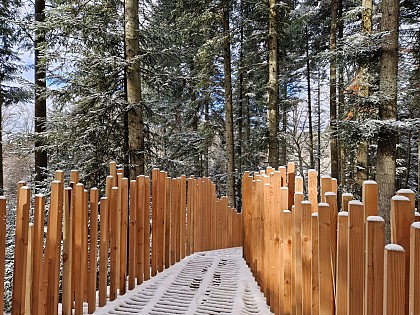Une installation : A mi-bois