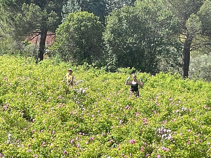 Domaine "La Clef des Roses"