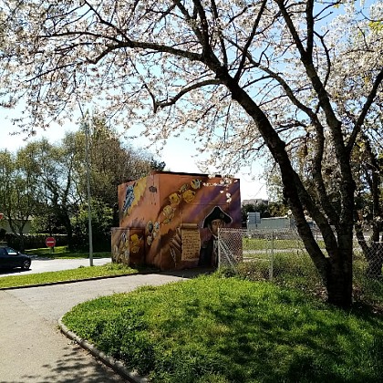 Street Art Bois-du-Château
