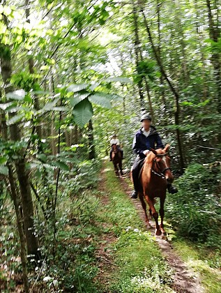 Chevauchée en pleine nature (+12 ans)