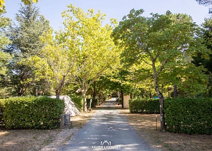 LES TERRASSES DU JAUR