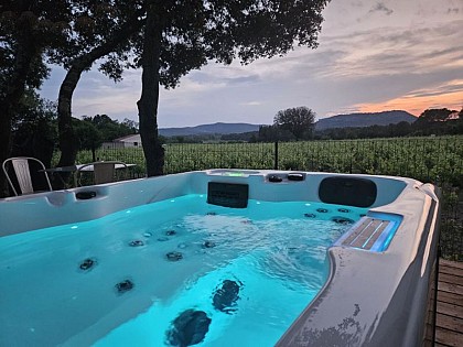 À L'OMBRE DE LA CHÊNERAIE - LES VIGNES