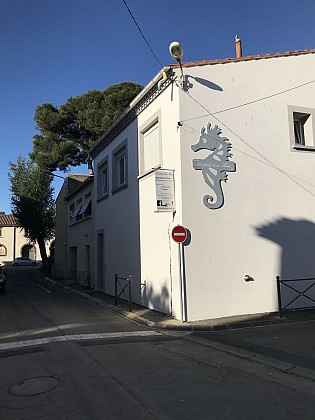APPARTEMENT HIPPOCAMPE - LES PIEDS DANS THAU