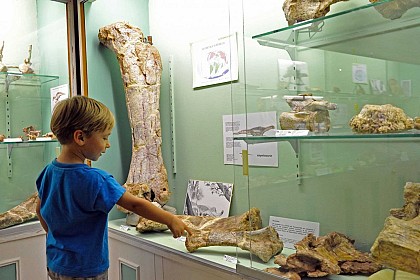 MUSÉE DE CRUZY