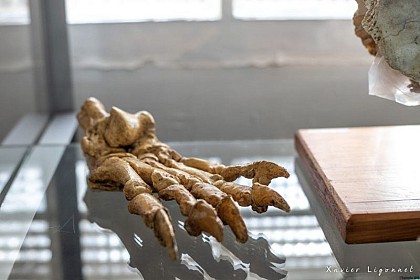 CENTRE DE RECHERCHE ET DE DOCUMENTATION DU MINERVOIS