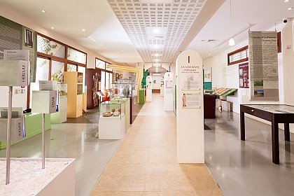 MUSÉE ARCHÉOLOGIQUE D'AMBRUSSUM