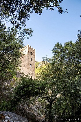 DONJON DE COLOMBIERES SUR ORB