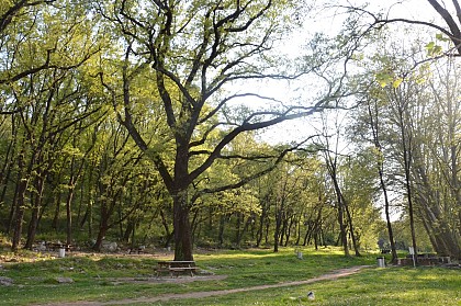 DOMAINE DU FESQUET