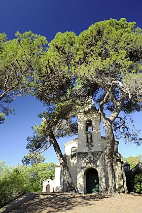 ÉGLISE SAINT-AMANS