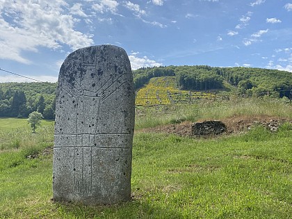 STATUE-MENHIR DE COUFFIGNET