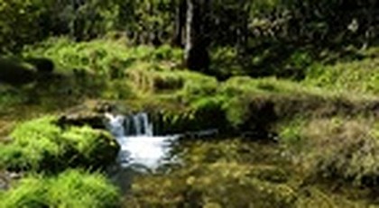 LA SOURCE DE LA BUEGES